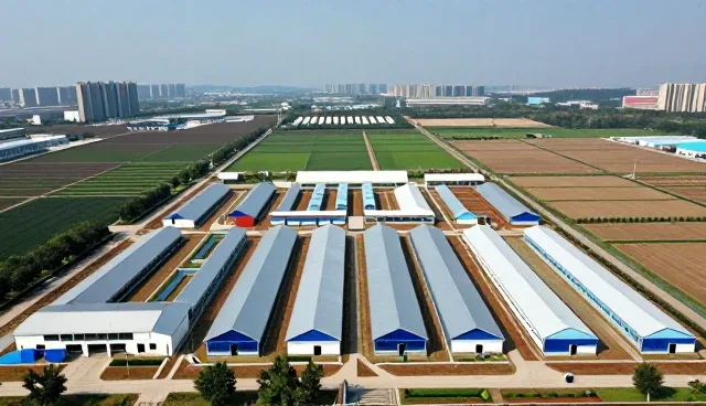 云架构性能优化与适用场景分析